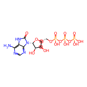 8-hydroxyadenosine 5'-triphosphate