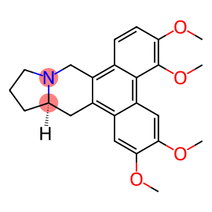 [13aR,(+)]-9,11,12,13,13a,14-Hexahydro-2,3,5,6-tetramethoxydibenzo[f,h]pyrrolo[1,2-b]isoquinoline