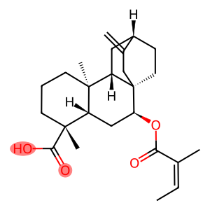 Atis-16-en-18-oic acid, 7-[[(2Z)-2-methyl-1-oxo-2-buten-1-yl]oxy]-, (4α,5β,7β,8α,9β,10α,12α)-