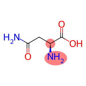 L-天冬酰胺酸