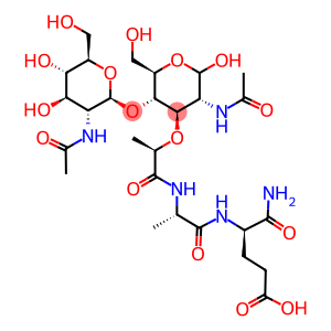 n-acetyl-beta-glucosaminyl-n-acetylmuramyl-alanylisoglutamine