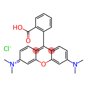 tetramethylrhodamine chloride