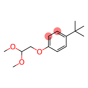 Benzene, 1-(2,2-dimethoxyethoxy)-4-(1,1-dimethylethyl)-