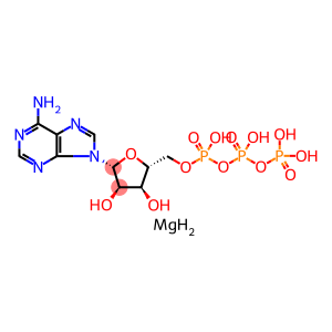 腺苷5′-三磷酸镁盐