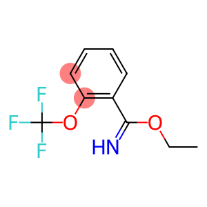 ethyl 2-(trifluoromethoxy)benzimidate