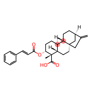 等效-3Β-肉桂酰氧基贝壳杉-16-烯-19-酸