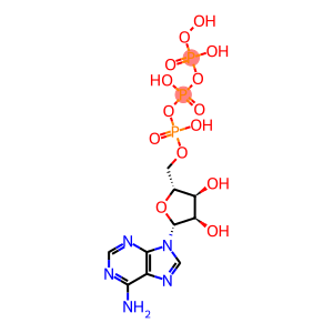adenylyl 5'-peroxydiphosphate
