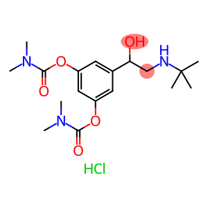 1-[双-(3',5'-N,N-二甲氨甲酰氧基)苯基]-2-N-叔丁基氨基乙醇盐酸盐