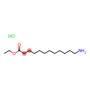 ethyl 12-aMinododecanoate hydrochloride