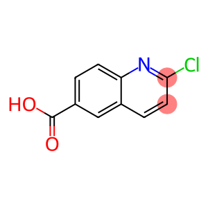 6-Quinolinecarboxylicacid, 2-chloro-