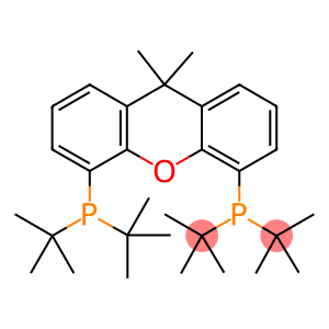 (9,9-Dimethyl-9H-xanthene-4,5-diyl)bis(di-tert-butylphosphine)