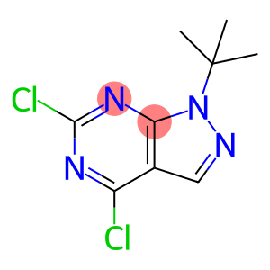 1-叔丁基-4,6-二氯-1H-吡唑并[3,4-D]嘧啶