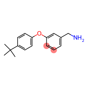 [3-(4-tert-butylphenoxy)phenyl]methanamine