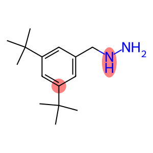 (3,5-ditert-butylphenyl)methylhydrazine