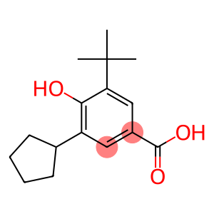 3-Cyclopentyl-5-(1,1-dimethylethyl)-4-hydroxybenzoic acid