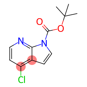 4-chloro-1H-pyrrolo[2,3-b]pyridine-1-carboxylic acid tert-butyl ester
