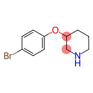 3-(4-Bromo-phenoxy)-piperidine