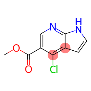 Methyl 4-chloro-1H-pyrrolo[2,3-b]pyridine-5-carboxylate