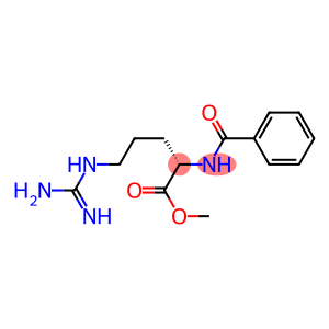 benzoyl L-arginine methyl ester