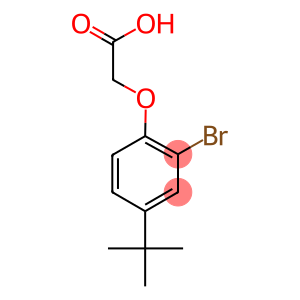 (2-bromo-4-tert-butylphenoxy)acetic acid