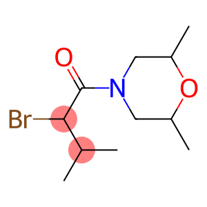 2-bromo-1-(2,6-dimethylmorpholin-4-yl)-3-methylbutan-1-one