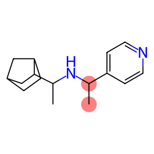 (1-{bicyclo[2.2.1]heptan-2-yl}ethyl)[1-(pyridin-4-yl)ethyl]amine