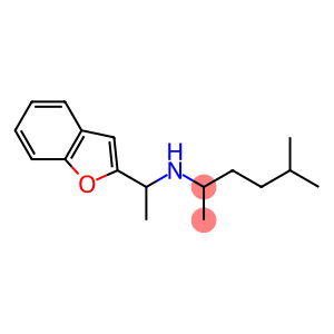 [1-(1-benzofuran-2-yl)ethyl](5-methylhexan-2-yl)amine