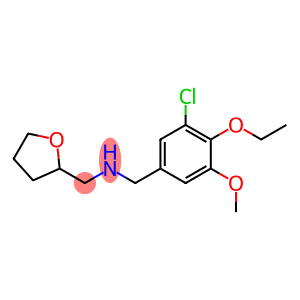 N-(3-CHLORO-4-ETHOXY-5-METHOXYBENZYL)-N-(TETRAHYDROFURAN-2-YLMETHYL)AMINE