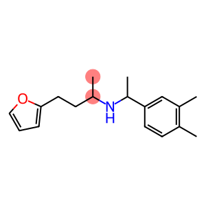 [1-(3,4-dimethylphenyl)ethyl][4-(furan-2-yl)butan-2-yl]amine