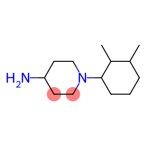 1-(2,3-dimethylcyclohexyl)piperidin-4-amine