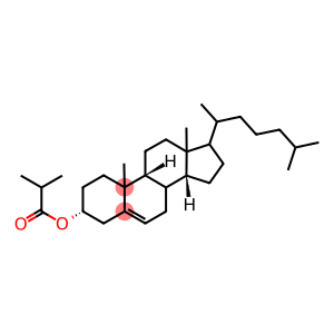 17-(1,5-dimethylhexyl)-10,13-dimethyl-2,3,4,7,8,9,10,11,12,13,14,15,16,17-tetradecahydro-1H-cyclopenta[a]phenanthren-3-yl 2-methylpropanoate