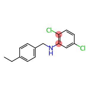 2,5-dichloro-N-[(4-ethylphenyl)methyl]aniline