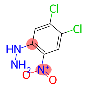 3,4-DICHLORO-6-NITRO-PHENYL-HYDRAZINE