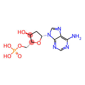 Deoxyadenosine-5'-monophosphate