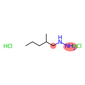 1-(2-methylpentyl)hydrazine dihydrochloride