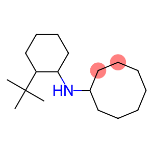 N-(2-tert-butylcyclohexyl)cyclooctanamine
