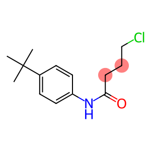 N-(4-tert-butylphenyl)-4-chlorobutanamide