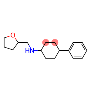 N-(oxolan-2-ylmethyl)-4-phenylcyclohexan-1-amine