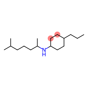 N-(6-methylheptan-2-yl)-4-propylcyclohexan-1-amine