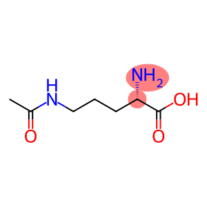 N5-Acetylornithine