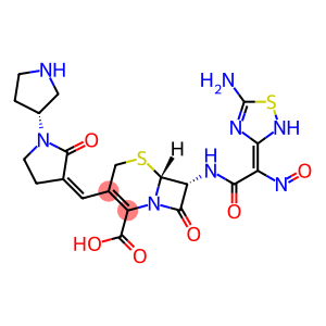 (6R,7R)-7-[[(2Z)-2-(5-amino-1,2,4-thiadiazol-3-ylidene)-2-nitroso-acetyl]amino]-8-oxo-3-[(E)-[2-oxo-1-[(3R)-pyrrolidin-3-yl]pyrrolidin-3-ylidene]methyl]-5-thia-1-azabicyclo[4.2.0]oct-2-ene-2-carboxylic acid