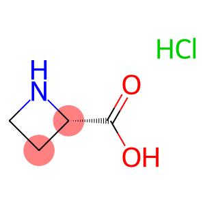 L-AZETIDINE-2-CARBOXYLIC ACID HCL