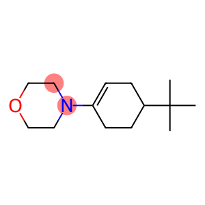 4-(4-tert-Butyl-1-cyclohexenyl)morpholine